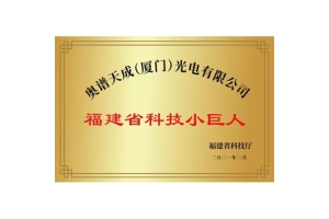 福建省科技小巨人